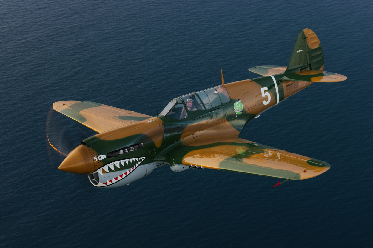 Curtiss P-40 Warhawk_RGB