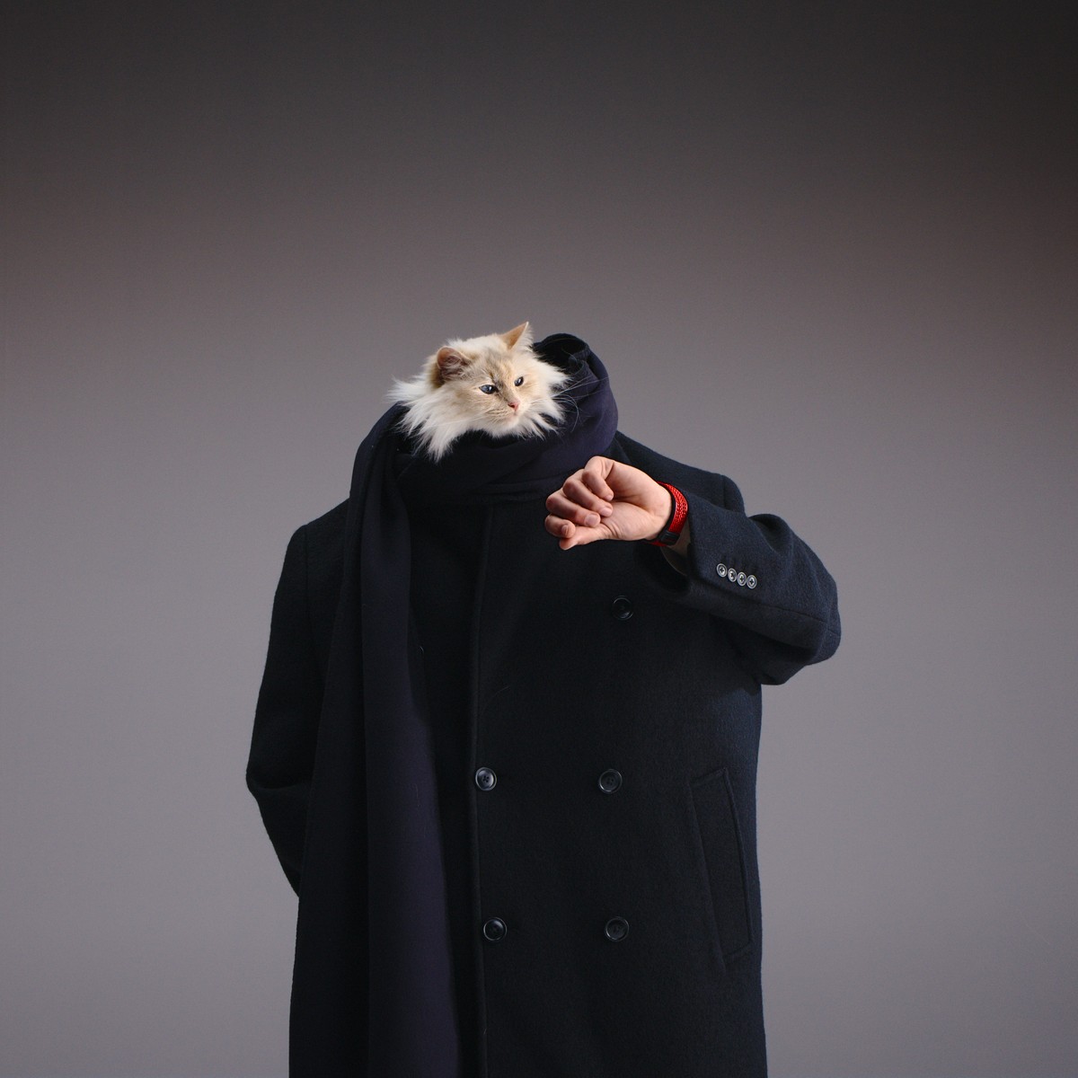 Choupette cat Choupette Karl Lagerfeld Шупетт Hublot Big Bang watch 2