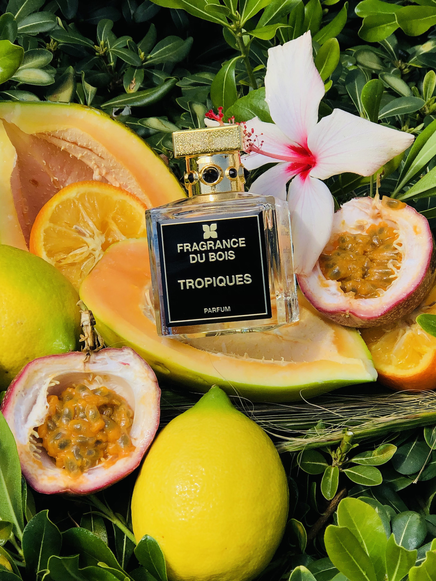 Fragrance Du Bois Tropiques 2024