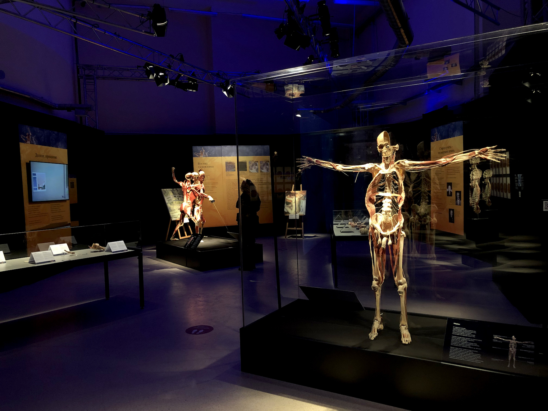 Анатомическая выставка Хагенса