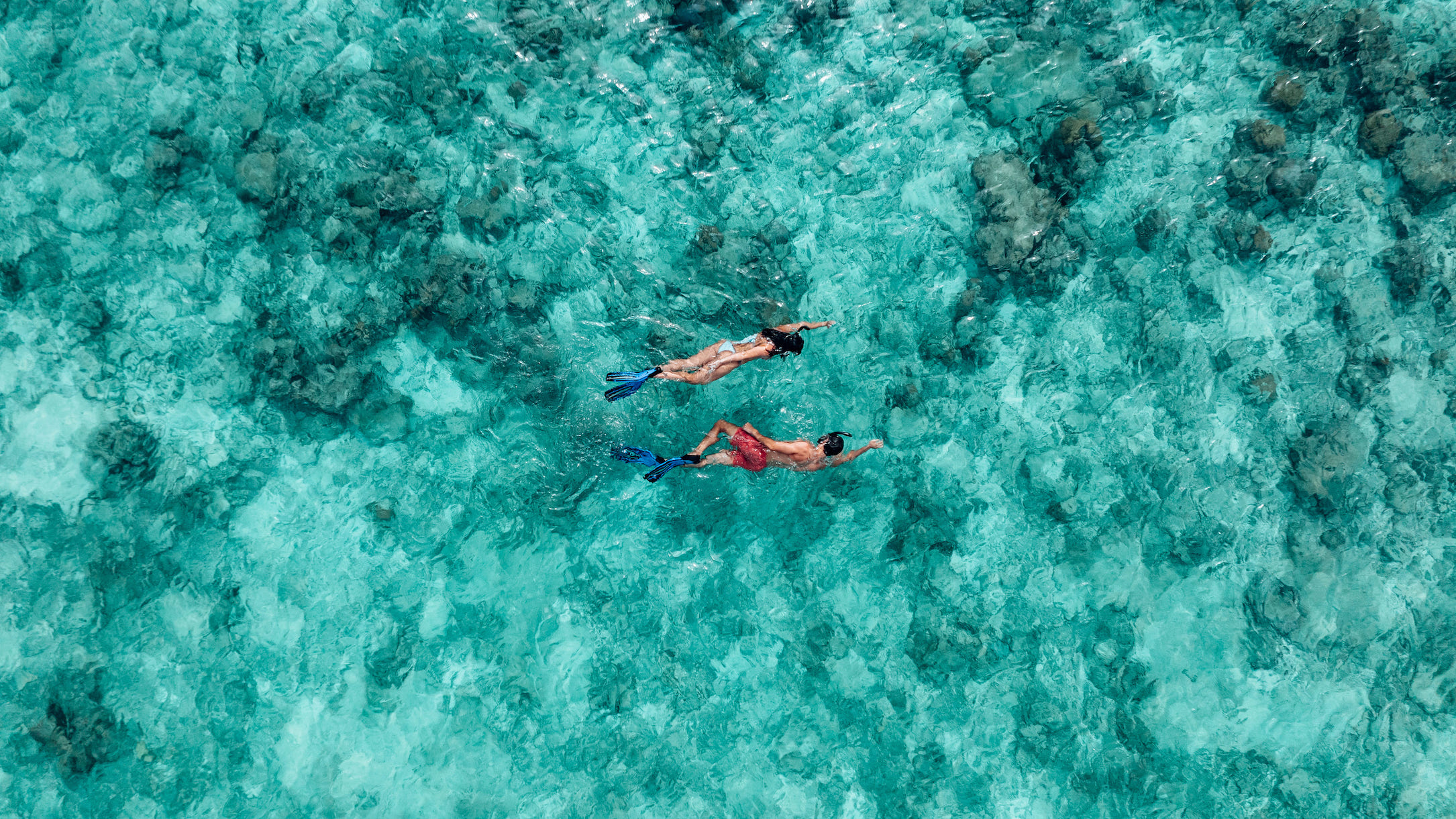 InterContinental Maldives Snorkelling2