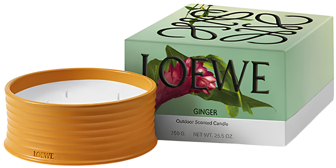 LOEWE Perfumes Ginger and Verbena