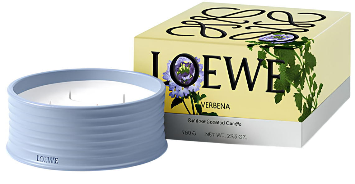 LOEWE Perfumes Ginger and Verbena 2025