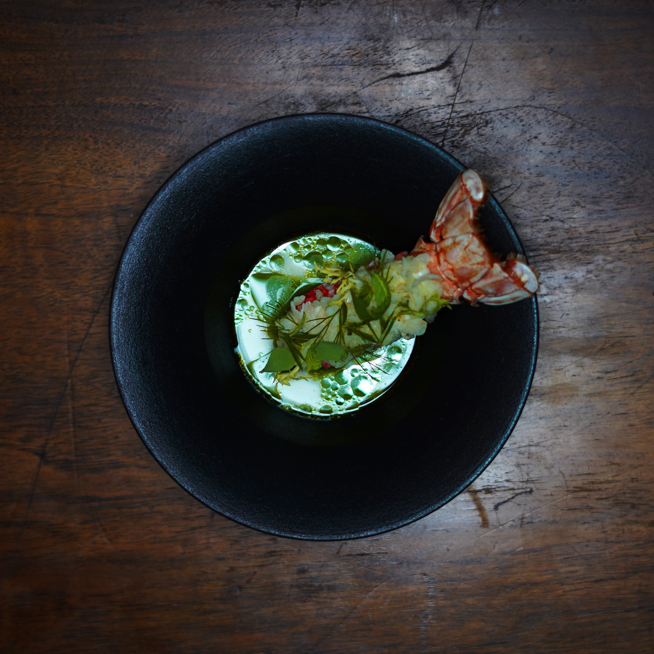 Langoustine Tulus Lotrek pic by Philip Dreyer