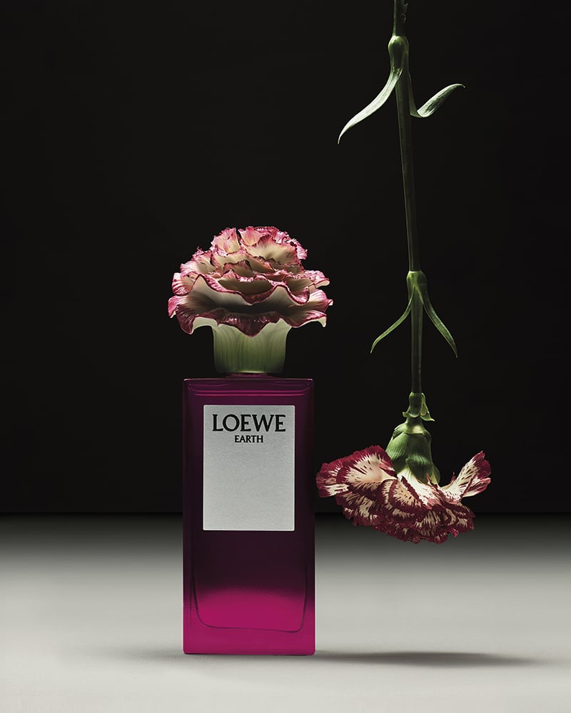 Loewe Lladro abril 03117279