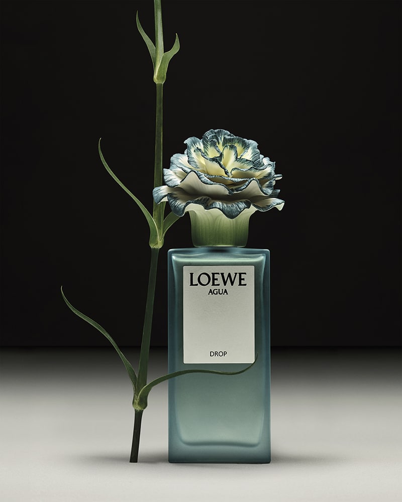 Loewe Lladro abril 03117299