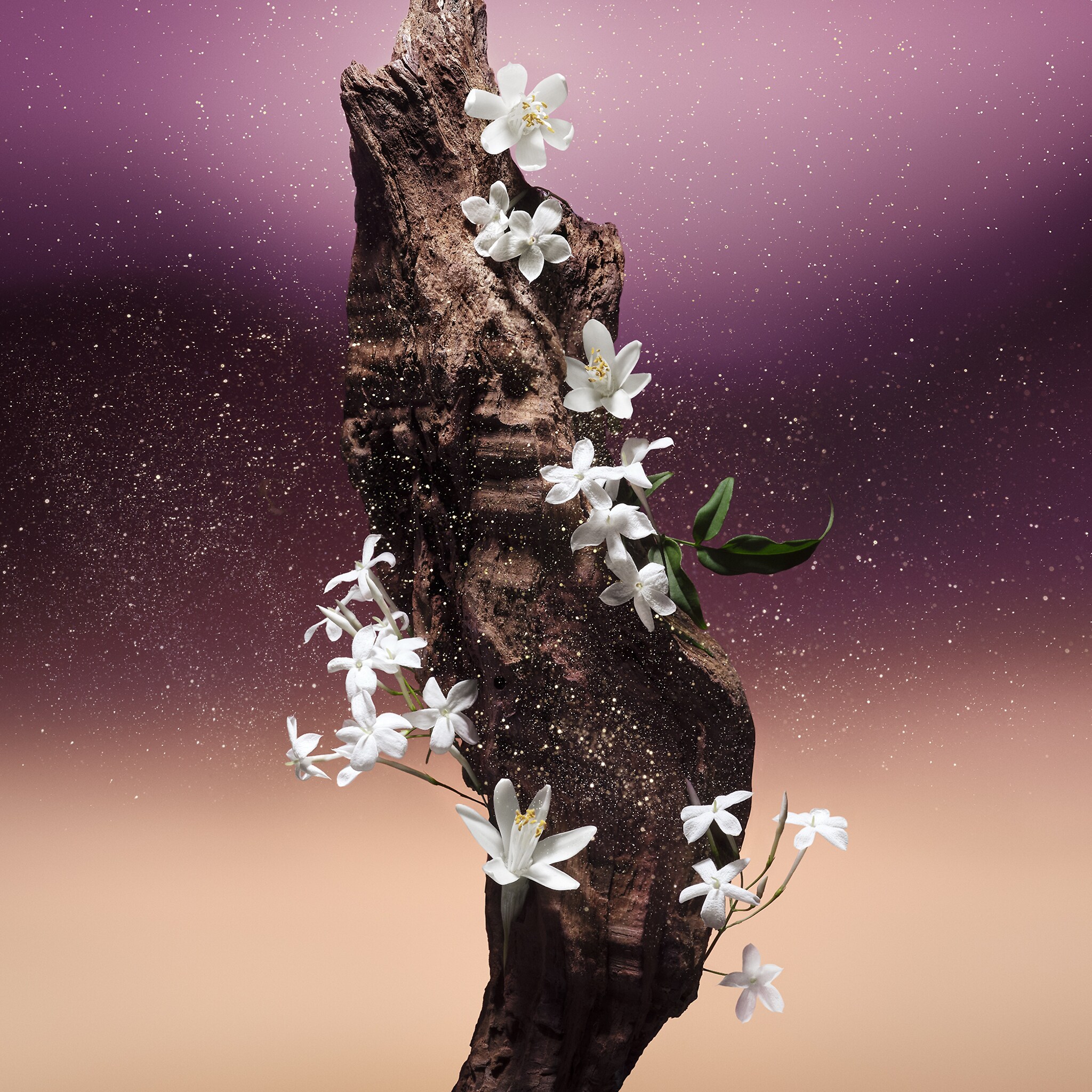 louis vuitton fleur du désert ароматы LP0288 PM1 Side view