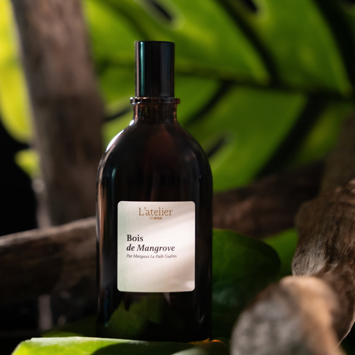 parfum intense naturel bois de mangrove mood 1